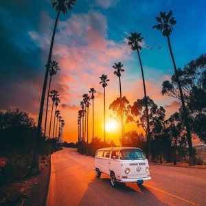 Meet your Posher, Lucy